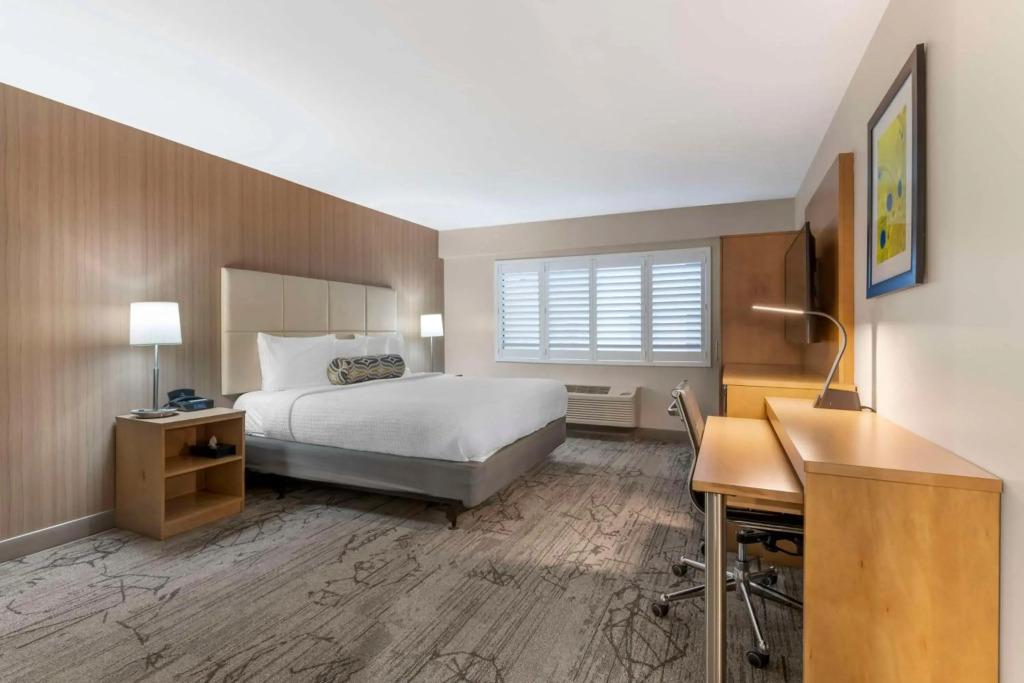 hotel image 13
