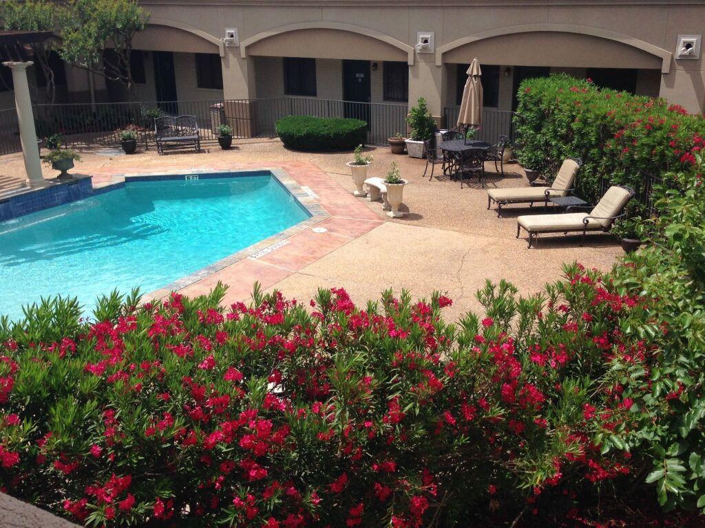 hotel image 8