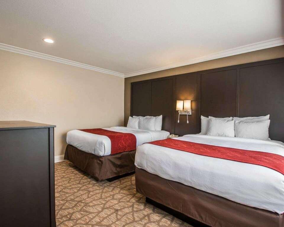 hotel image 31