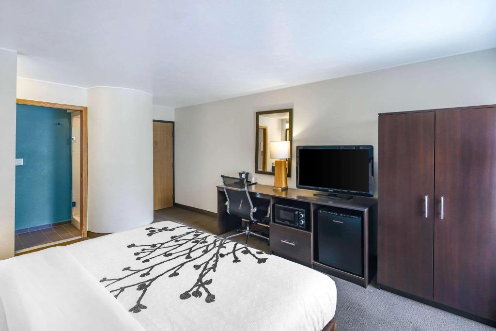 hotel image 10