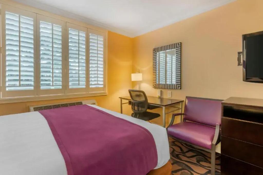 hotel image 13