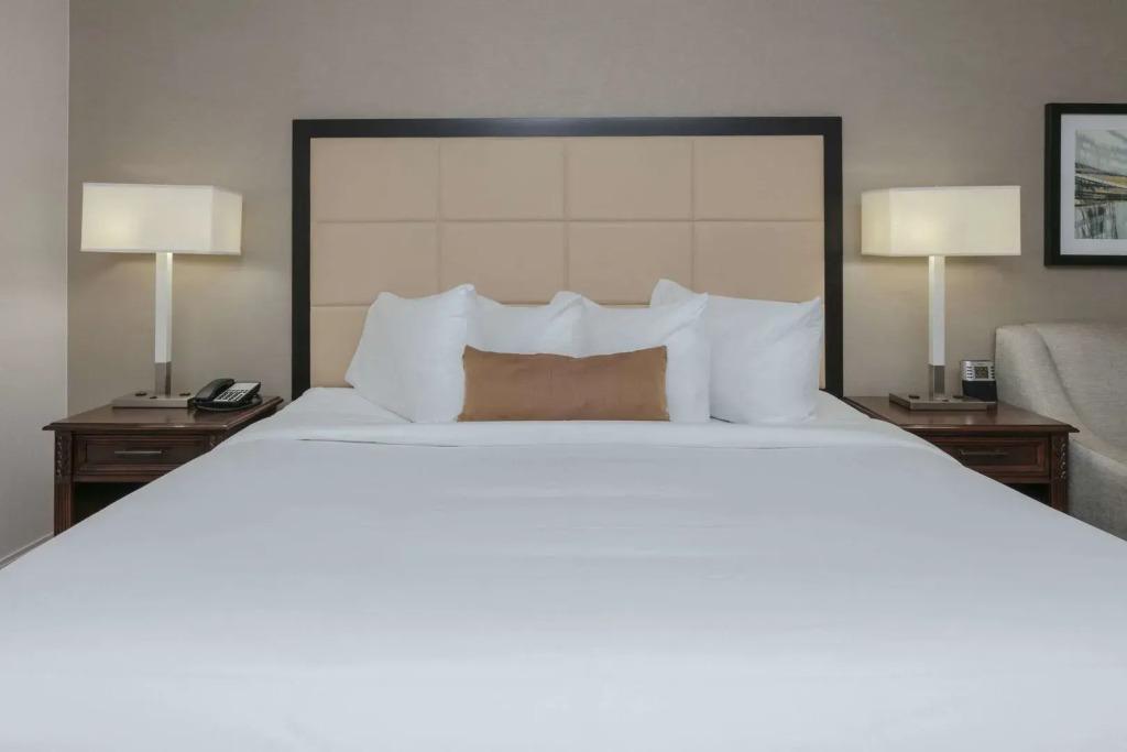 hotel image 31