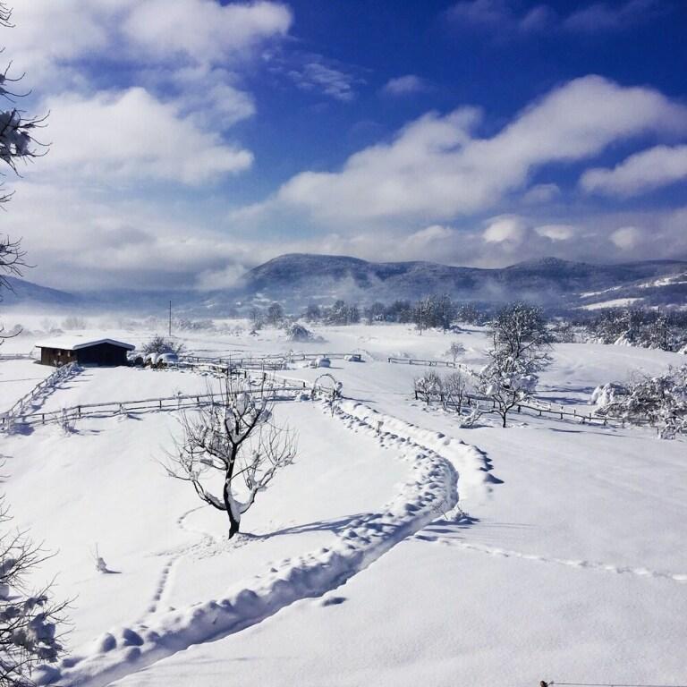 hotel image 24