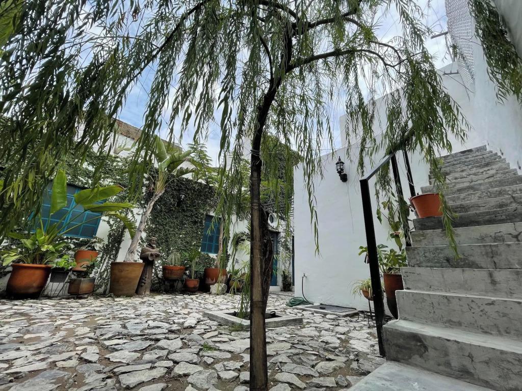 hotel image 8