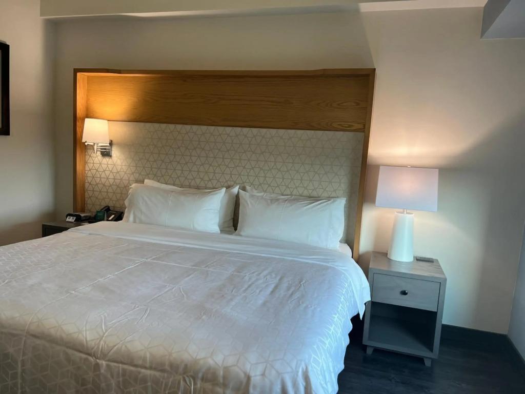 hotel image 20