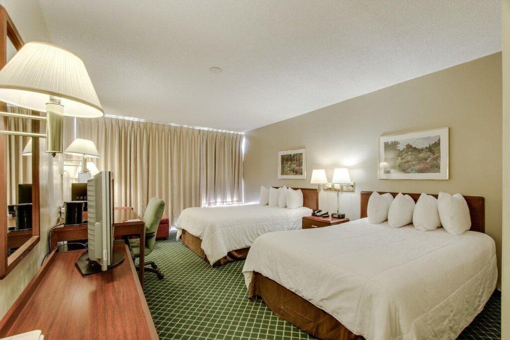 hotel image 20