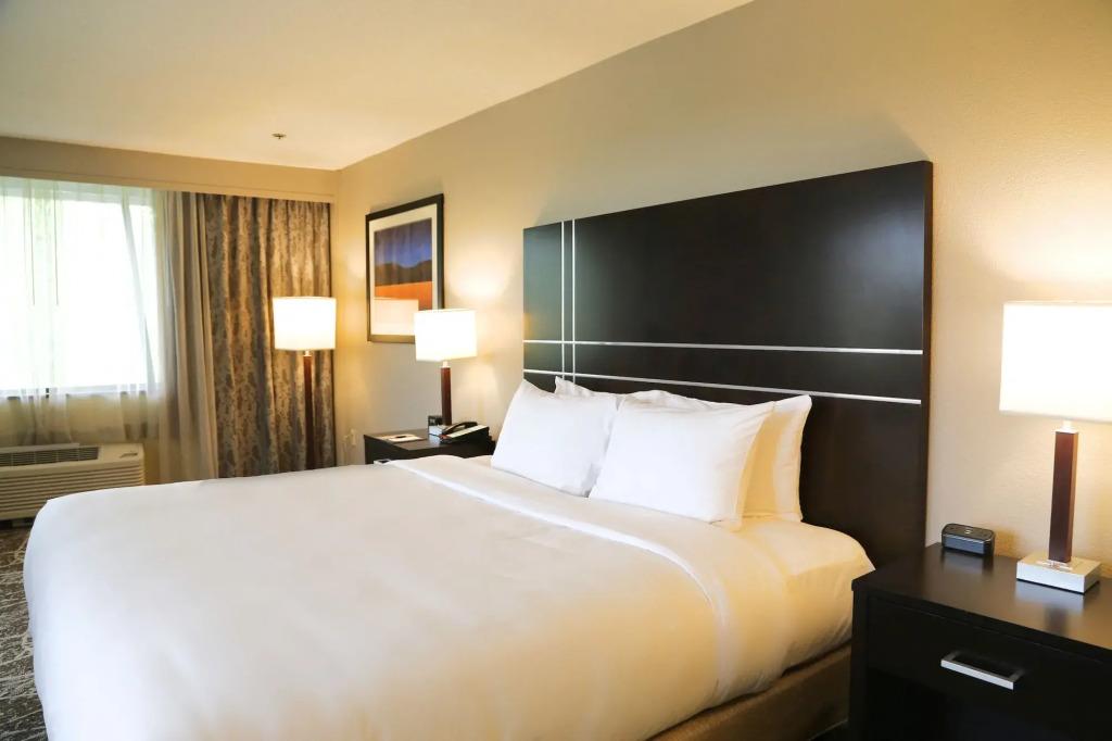 hotel image 19