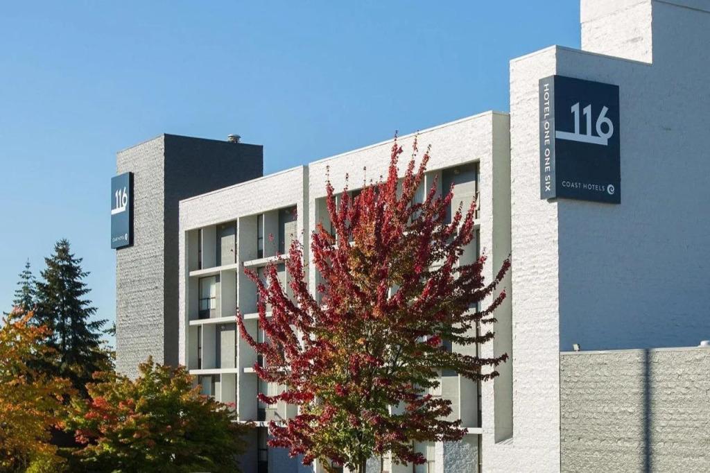 hotel image 13