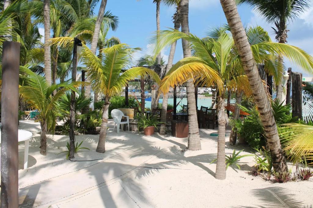 hotel image 24