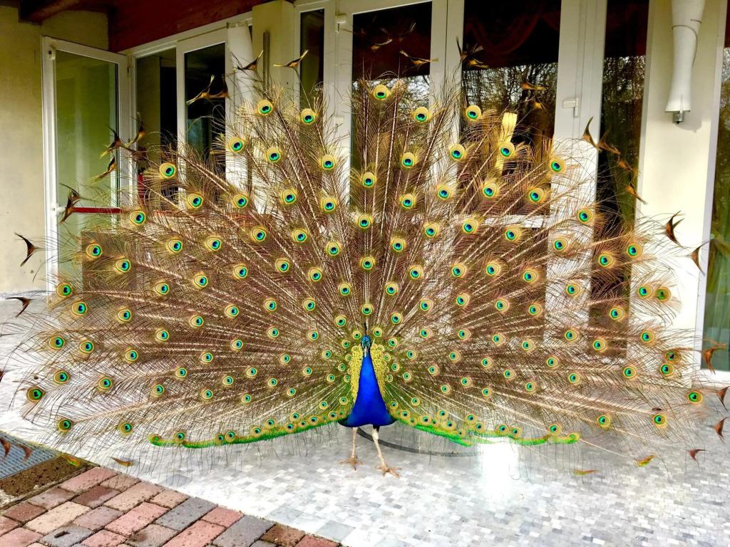 hotel image 54