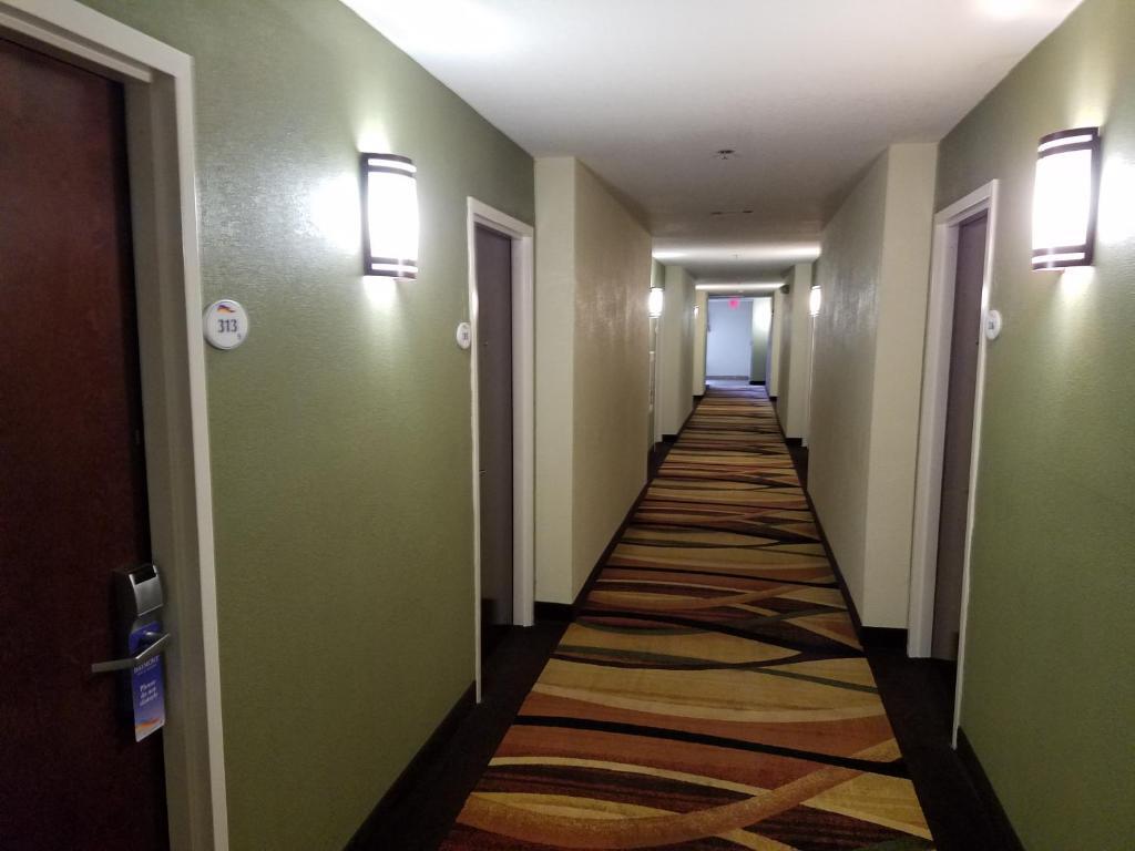 hotel image 8