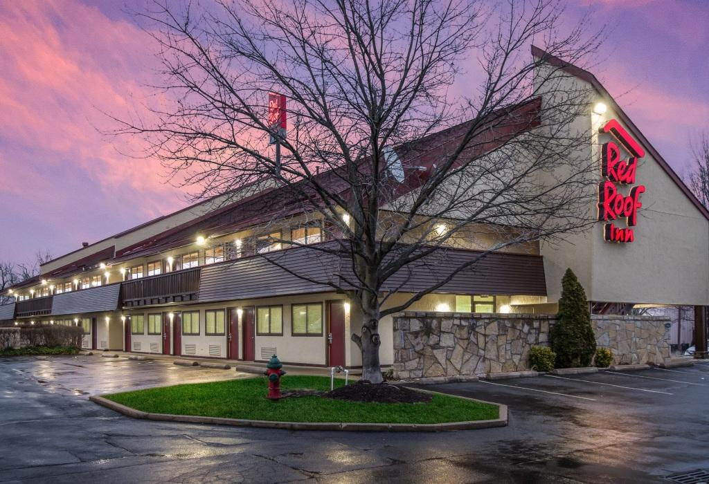 hotel image 8