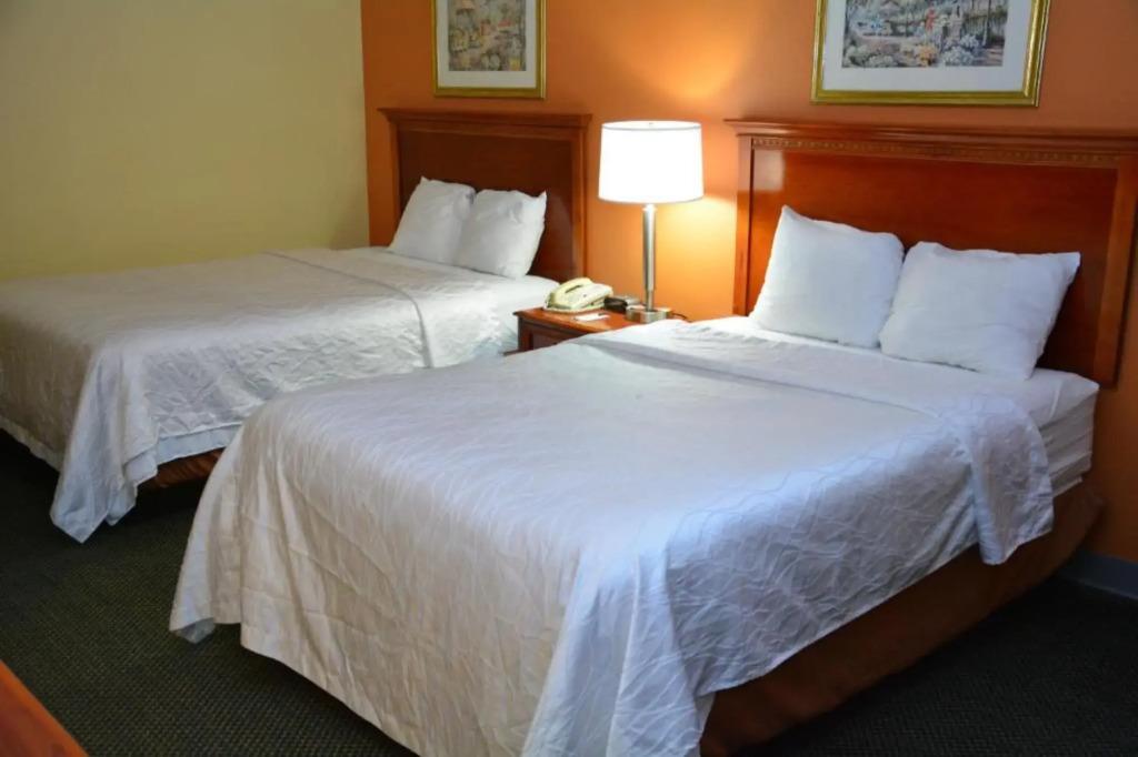 hotel image 19