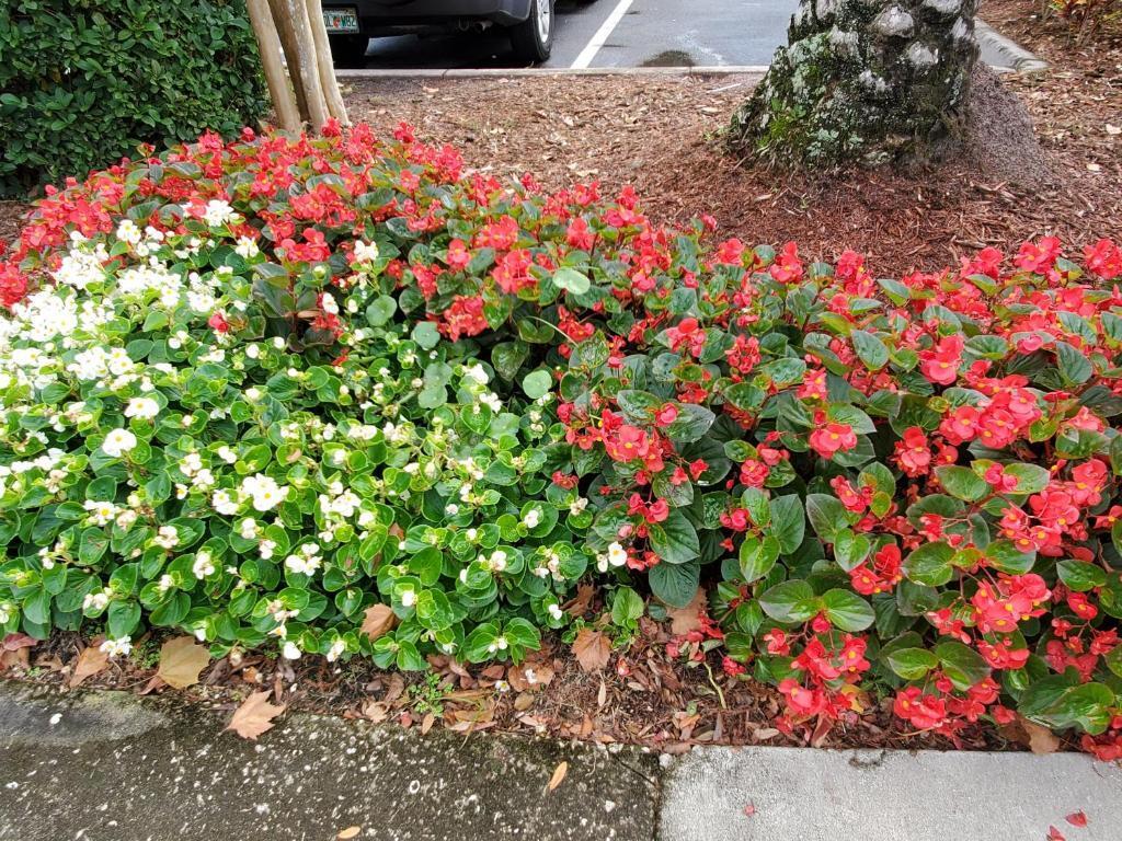 hotel image 35