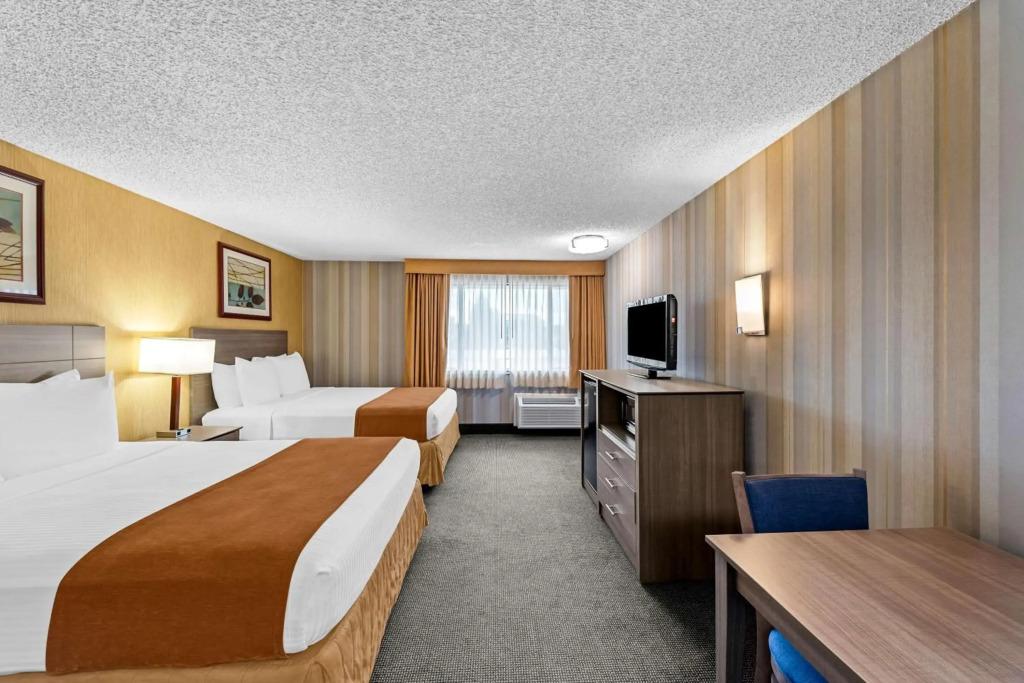 hotel image 24