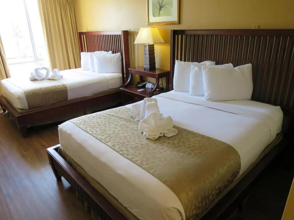 hotel image 47