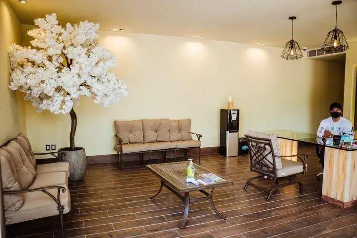 hotel image 7