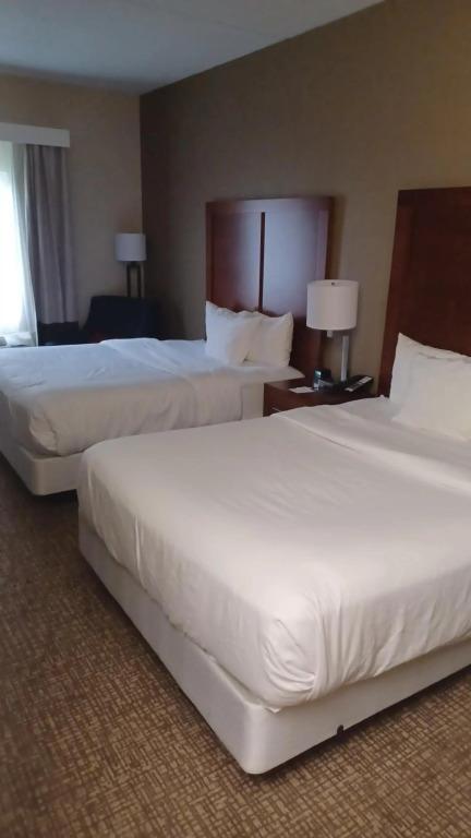 hotel image 24