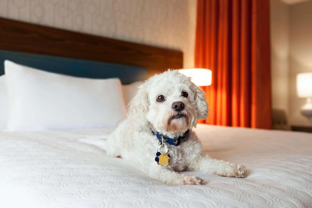 hotel image 28
