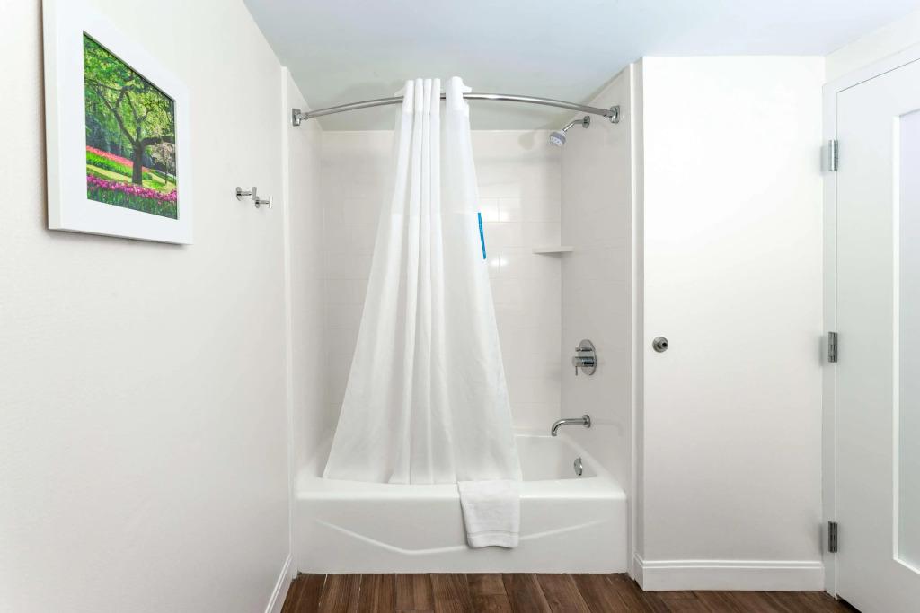 hotel image 35