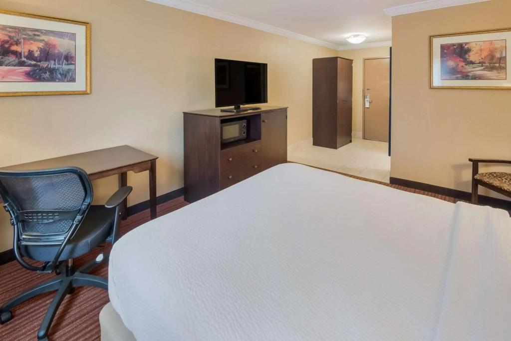 hotel image 31