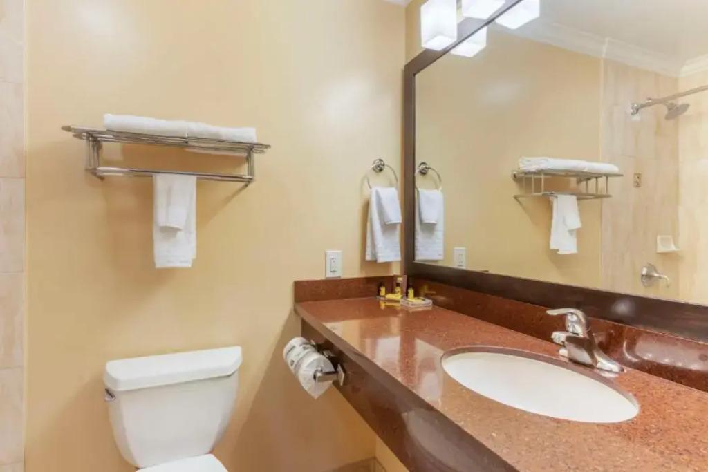 hotel image 24