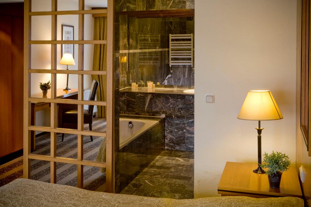 hotel image 17