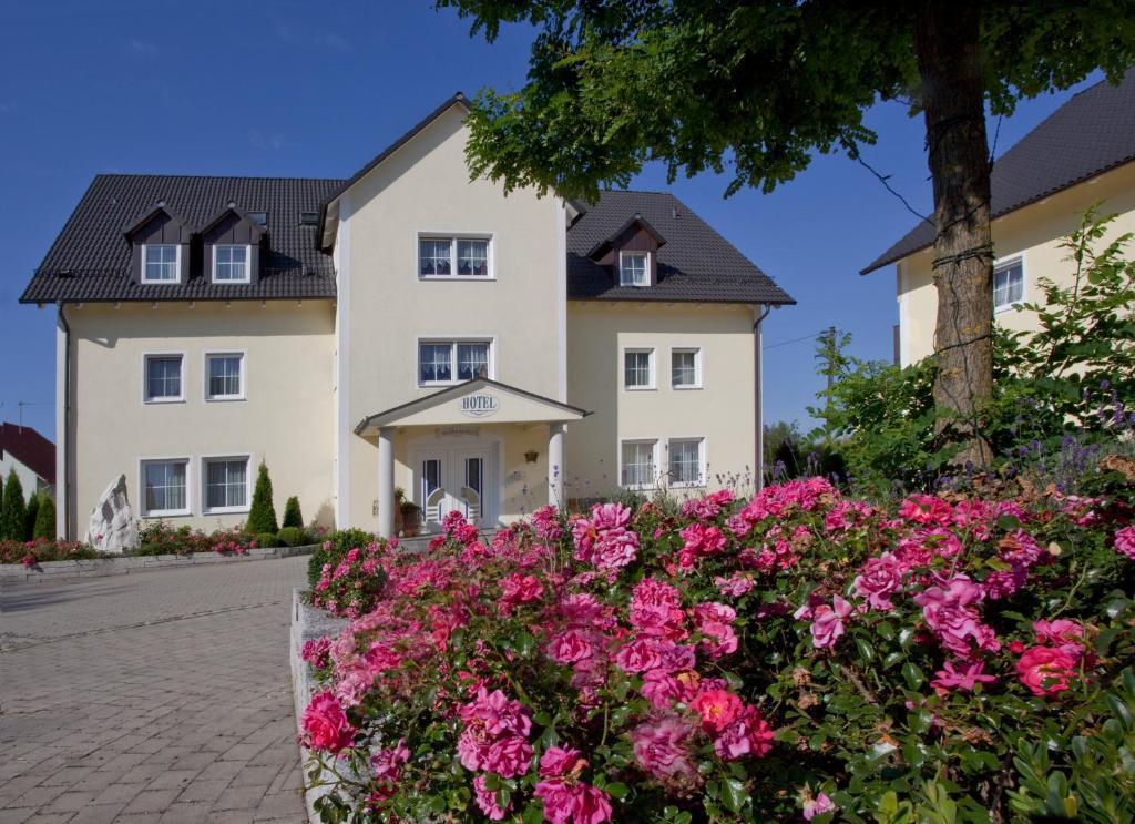 hotel image 13