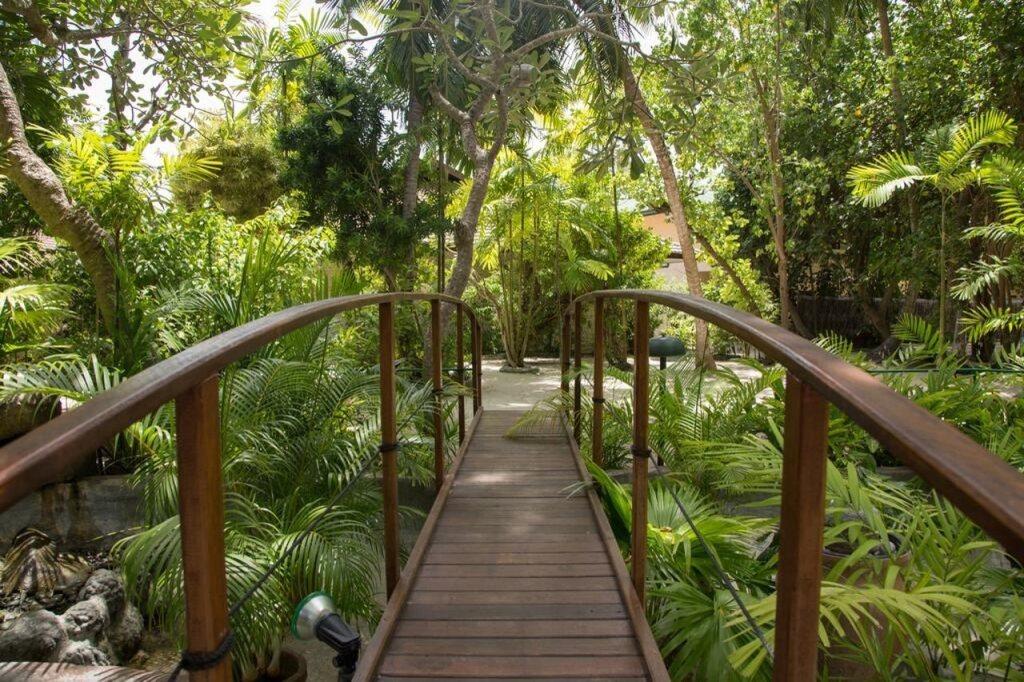 hotel image 22