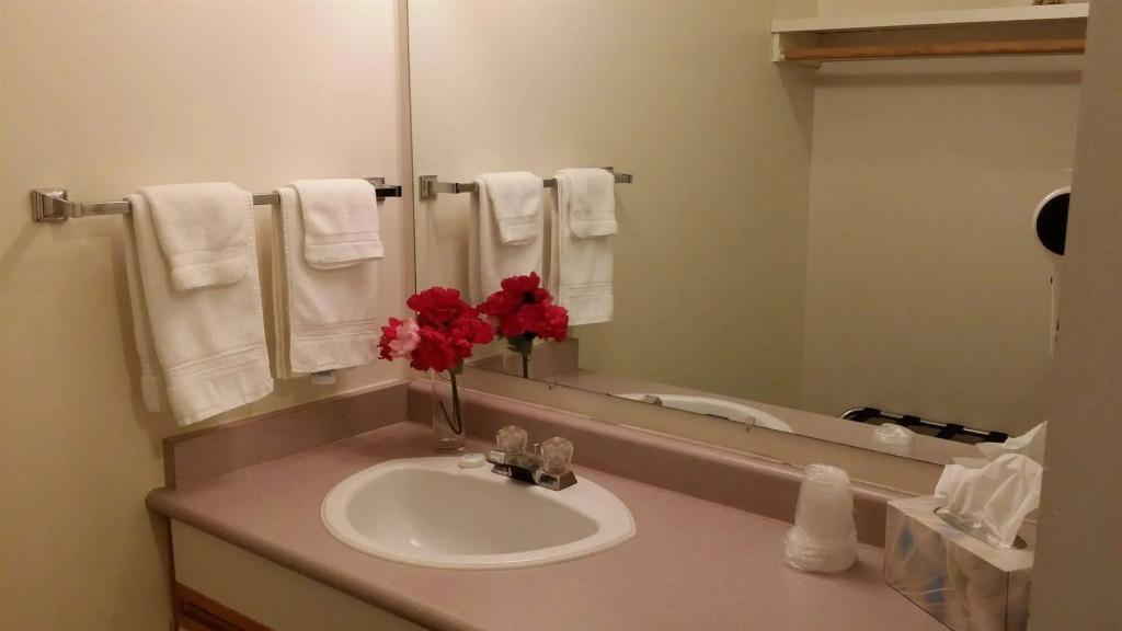 hotel image 48
