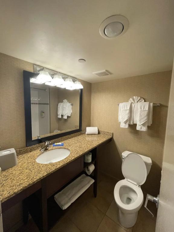 hotel image 25