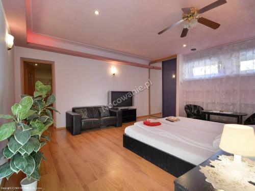 hotel image 31