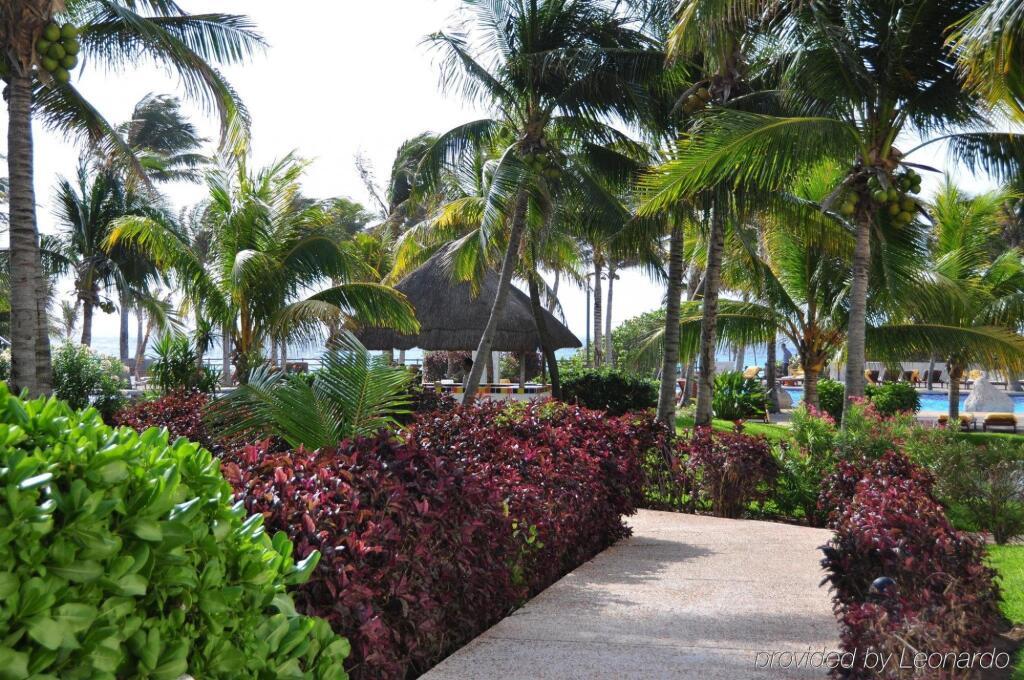 hotel image 15