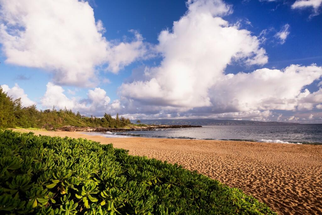 hotel image 23