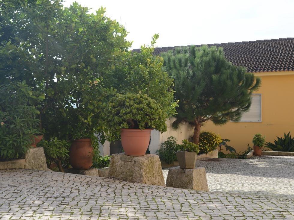 hotel image 35
