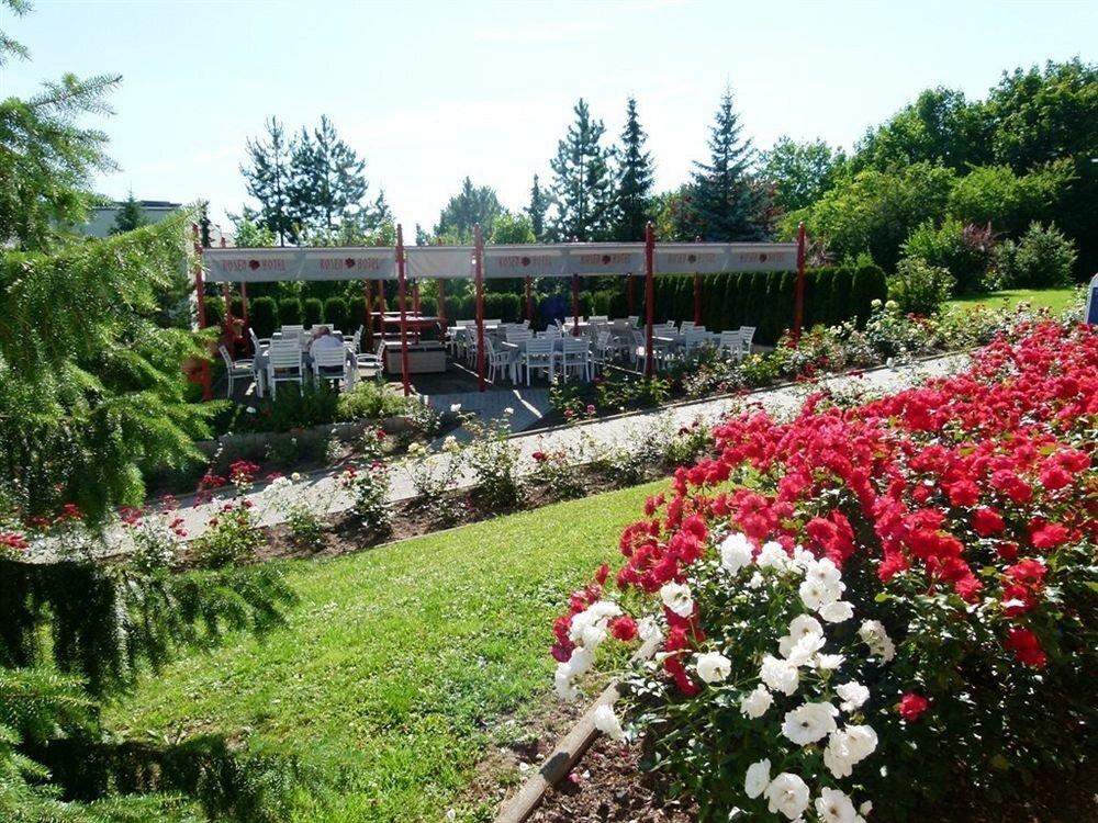 hotel image 28