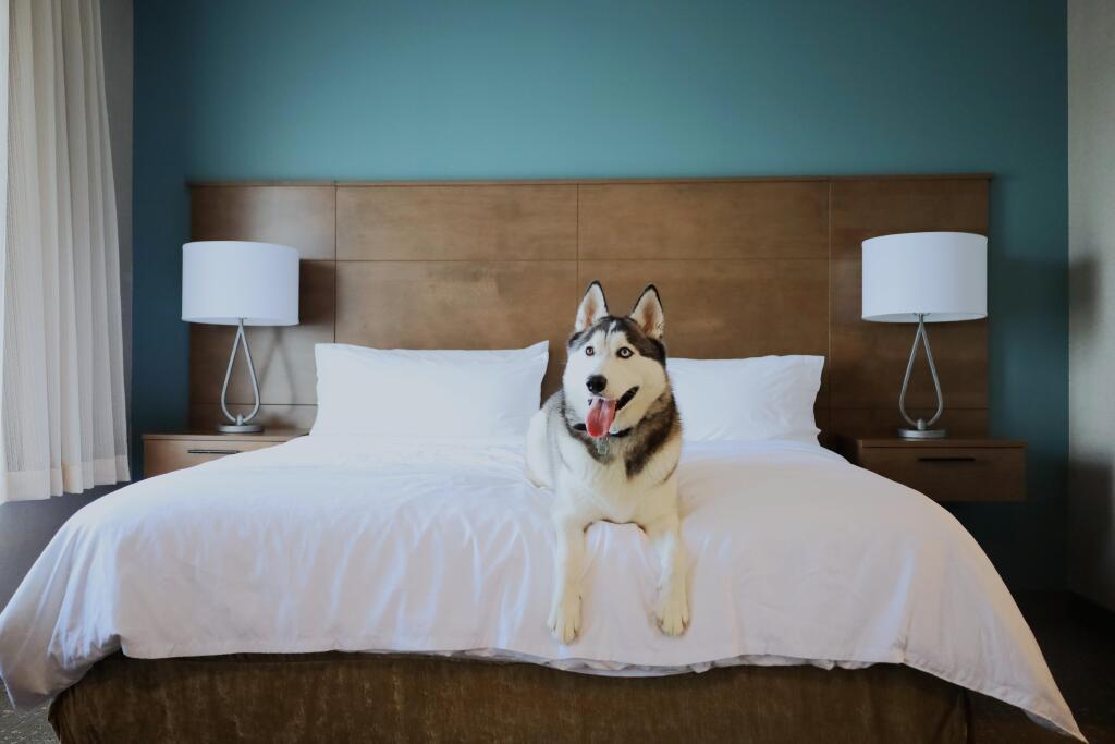 hotel image 13