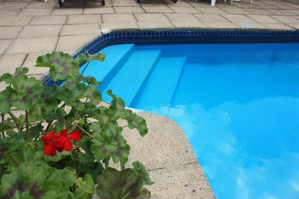 hotel image 16
