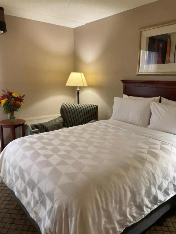 hotel image 10