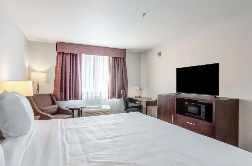 hotel image 24