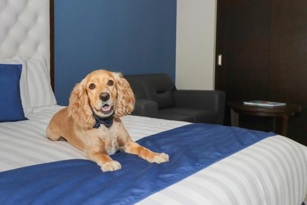hotel image 40
