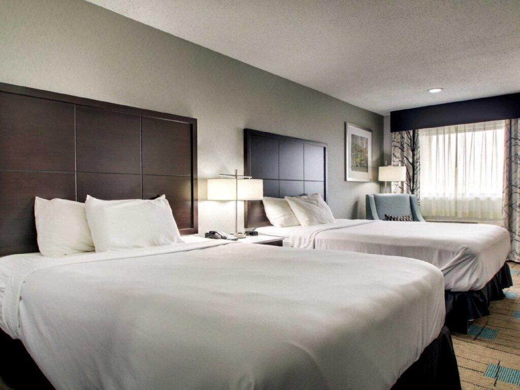 hotel image 28