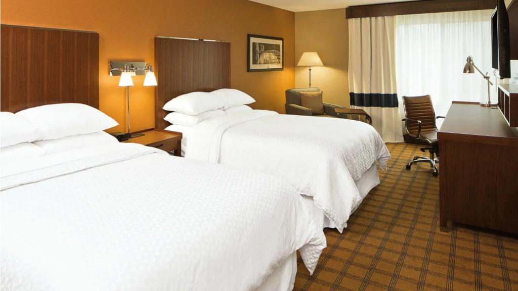 hotel image 16
