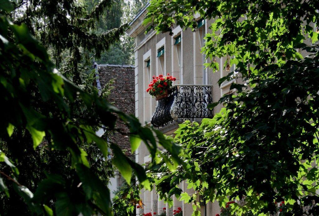 hotel image 16