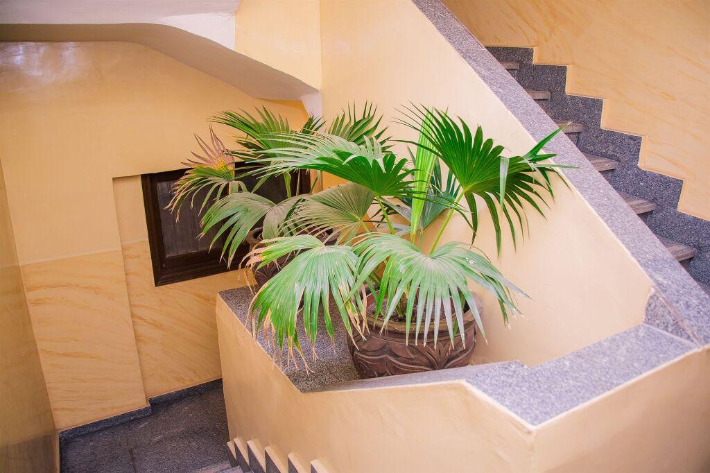 hotel image 14