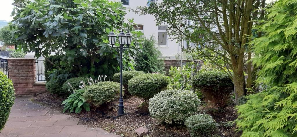hotel image 7