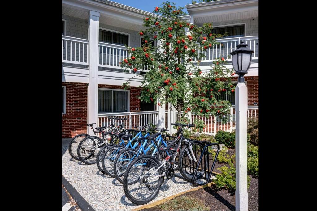 hotel image 11