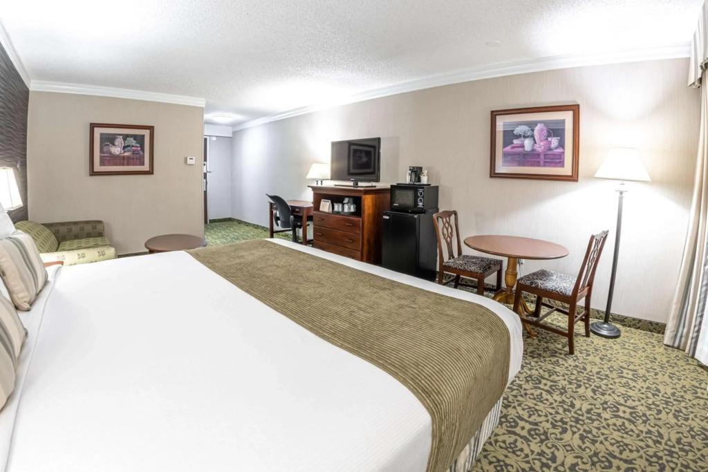 hotel image 16
