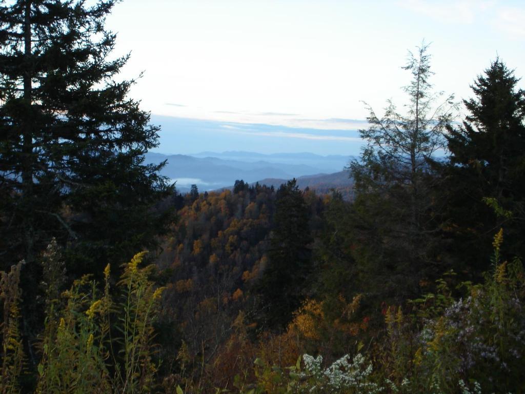 hotel image 24