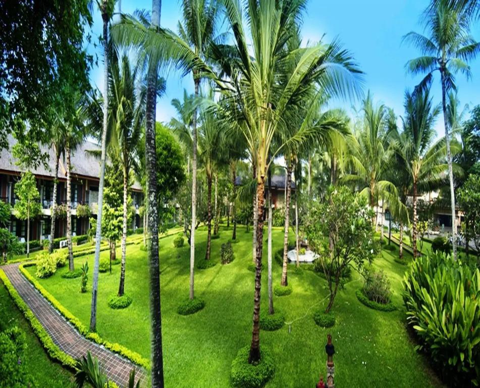 hotel image 10